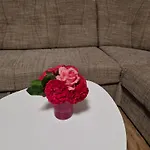 Apartma-sobe Lejla *