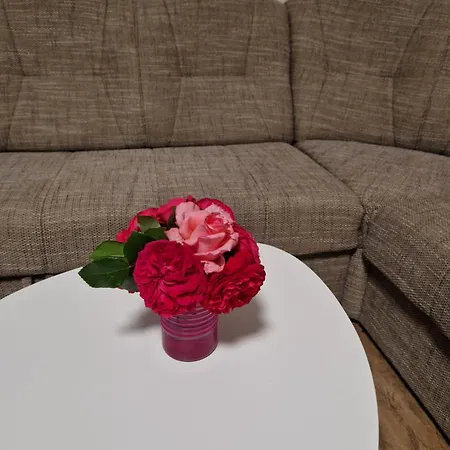 Apartma-sobe Lejla *