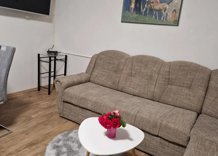 Apartment Apartma-sobe Lejla Vipava